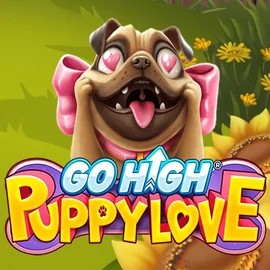 Go High Puppy Love – slot by RubyPlay, featured at x3-bet.at